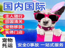 杭州萧山航空物流国际宠物托运 【国